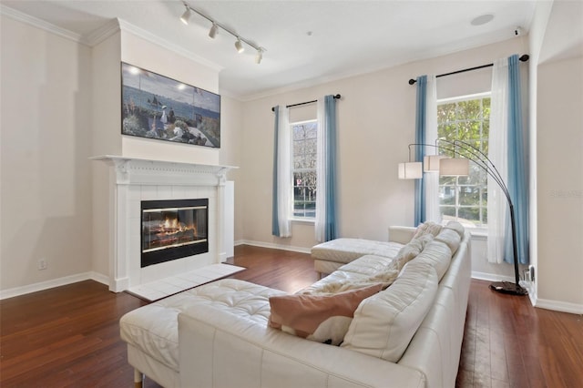 living area with hardwood / wood-style floors, a fireplace, and a wealth of natural light