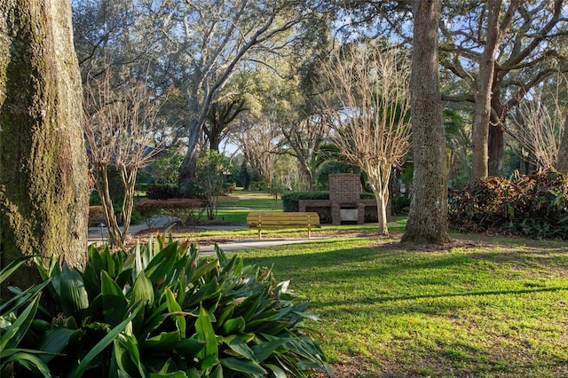 view of community with a yard