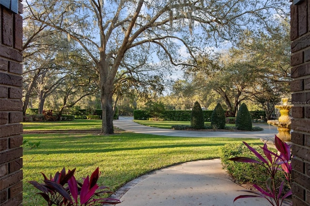 view of community featuring a yard