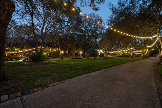 view of property's community featuring concrete driveway and a yard