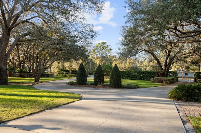 view of home's community featuring driveway and a lawn