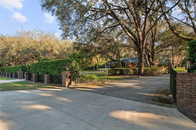 view of street featuring driveway and a gate