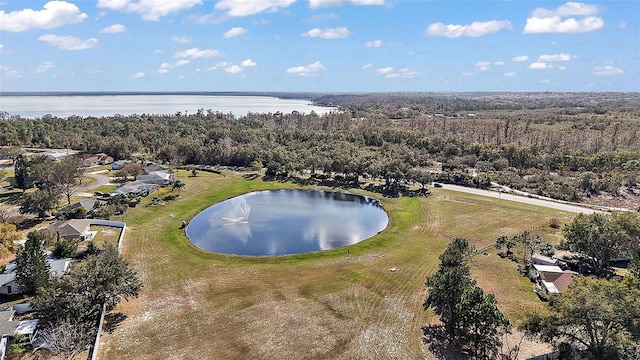 drone / aerial view featuring a water view