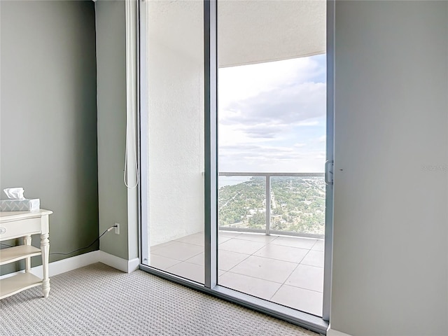 entryway featuring carpet and baseboards