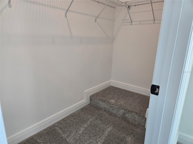 walk in closet featuring carpet