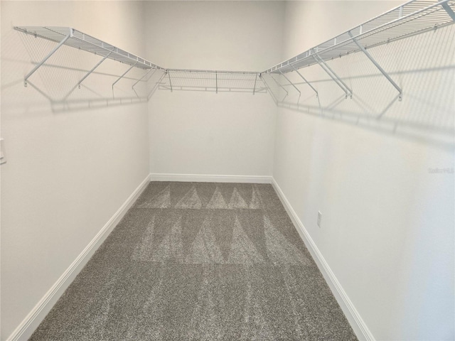 walk in closet with carpet