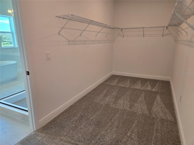 walk in closet with dark carpet