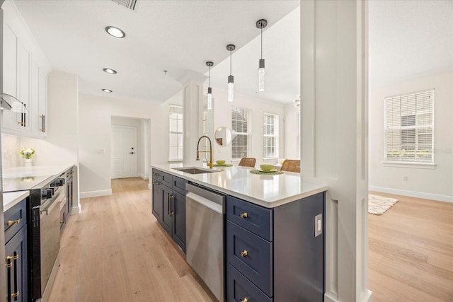 kitchen with light wood-type flooring, light countertops, a sink, and stainless steel dishwasher