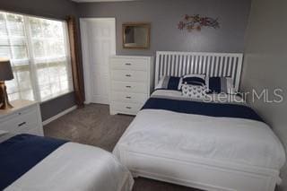 954 Lockbreeze Dr, Davenport, FL 33897 - bedroom with radiator and carpet flooring