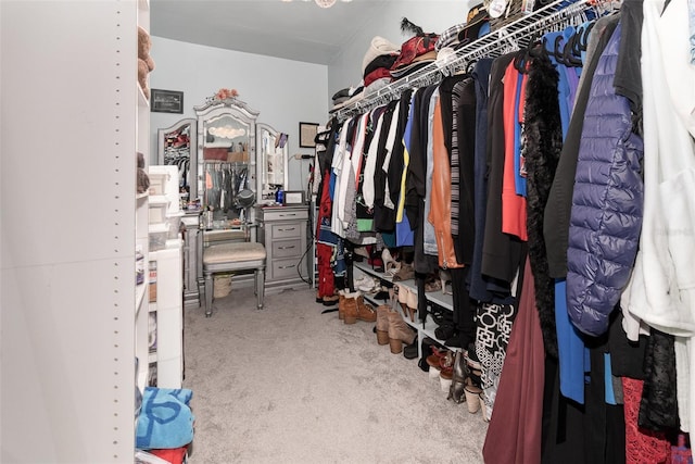 spacious closet featuring carpet