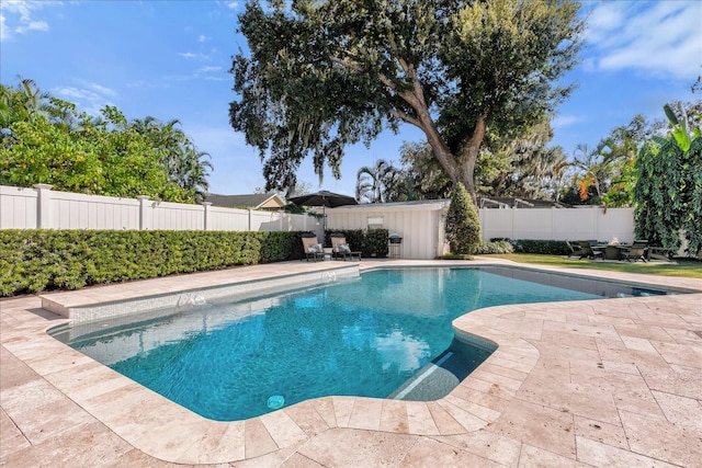 view of pool with a patio, a fenced backyard, and a fenced in pool