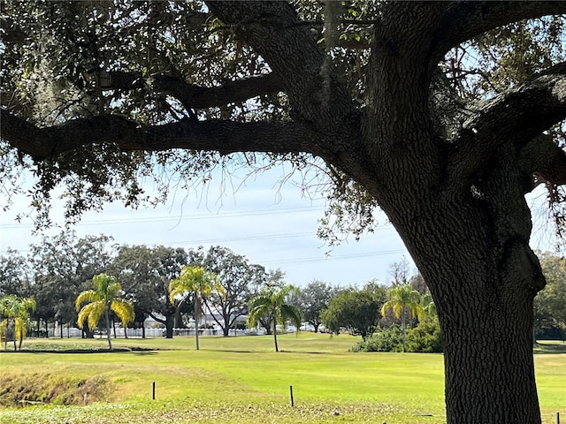 view of community featuring a lawn