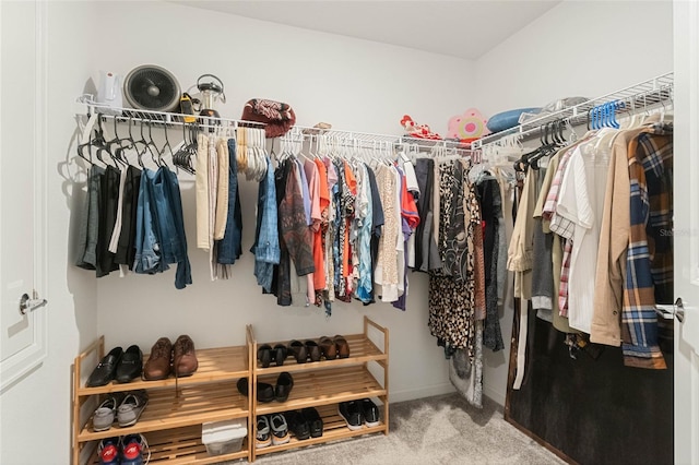 spacious closet featuring carpet floors