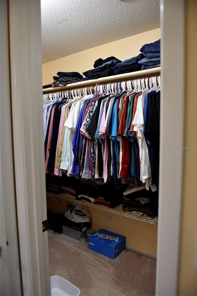 view of closet