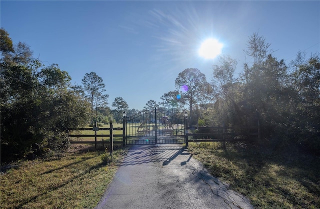 view of street featuring a gate and a gated entry