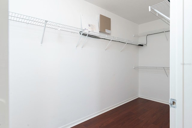 spacious closet with dark wood-style flooring