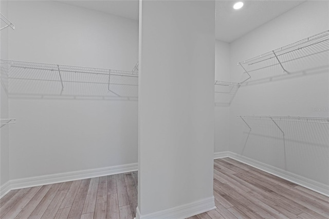 spacious closet featuring wood finished floors