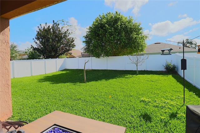 1862 Great Falls Way, Orlando, FL 32824 - view of fenced backyard