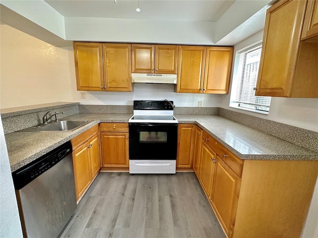 kitchen with light wood finished floors, electric range, a sink, under cabinet range hood, and stainless steel dishwasher