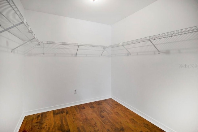 walk in closet with wood finished floors