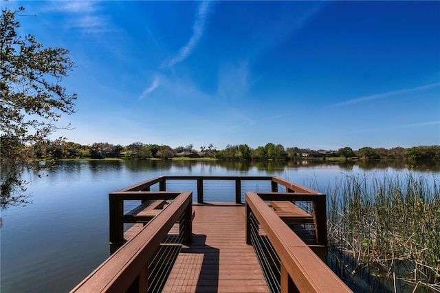 dock area with a water view