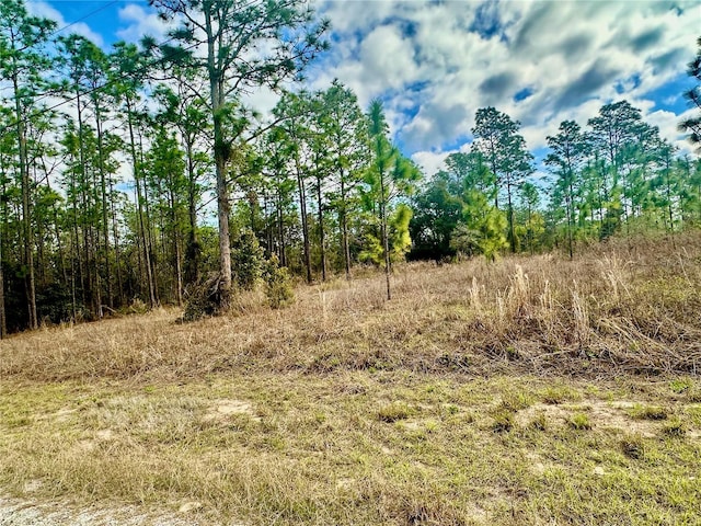 SE 131st Ter, Dunnellon FL, 34431 land for sale