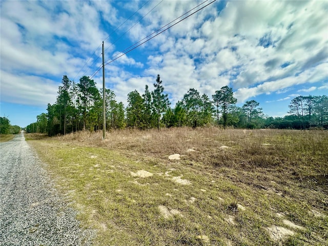 Listing photo 2 for SE 131st Ter, Dunnellon FL 34431