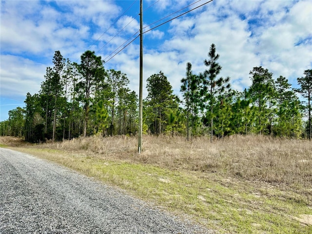 Listing photo 3 for SE 131st Ter, Dunnellon FL 34431