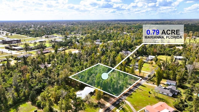 Listing photo 3 for Angela Dr, Marianna FL 32446