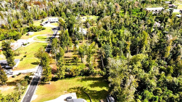 Angela Dr, Marianna, FL 32446 - photo 8