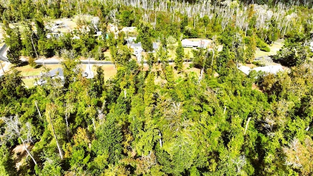 Angela Dr, Marianna, FL 32446 - photo 10