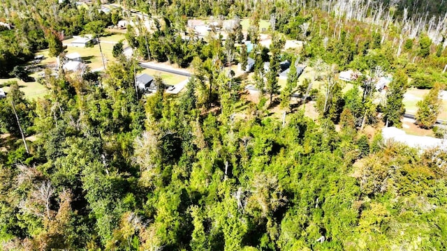 Angela Dr, Marianna, FL 32446 - photo 11