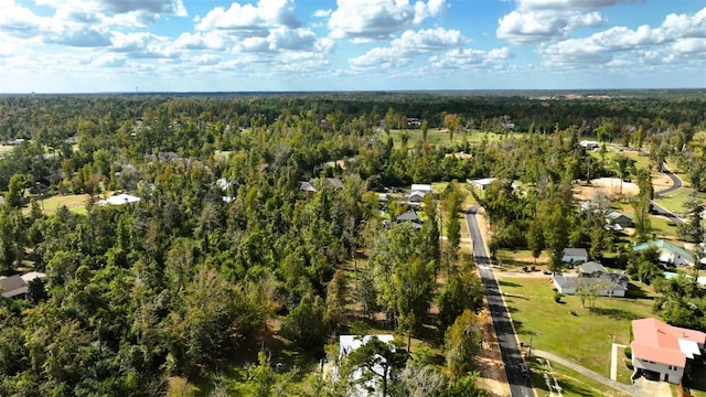 Angela Dr, Marianna, FL 32446 - photo 14