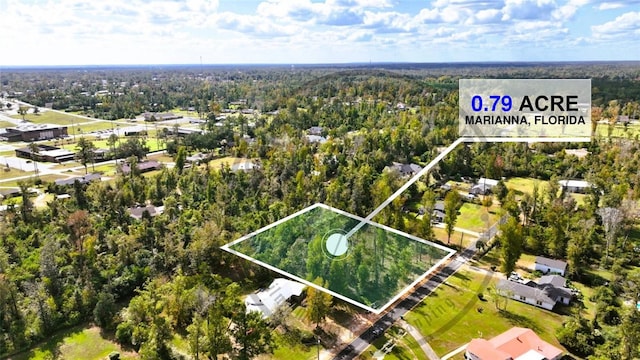 Angela Dr, Marianna, FL 32446 - photo 16