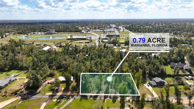 Angela Dr, Marianna, FL 32446 - photo 17