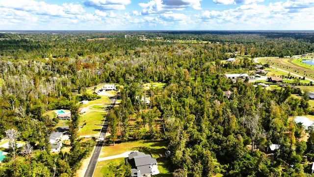 Angela Dr, Marianna, FL 32446 - photo 22