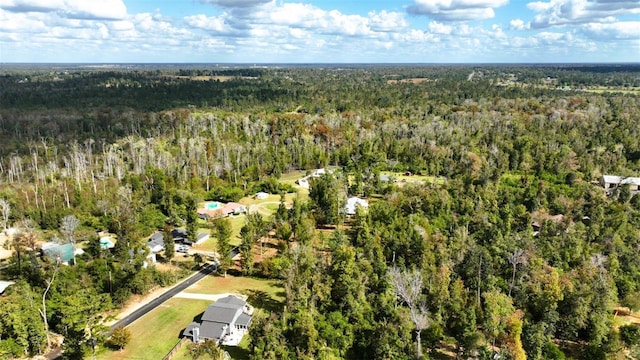 Angela Dr, Marianna, FL 32446 - photo 23