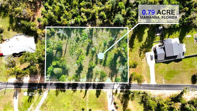Angela Dr, Marianna, FL 32446 - photo 33