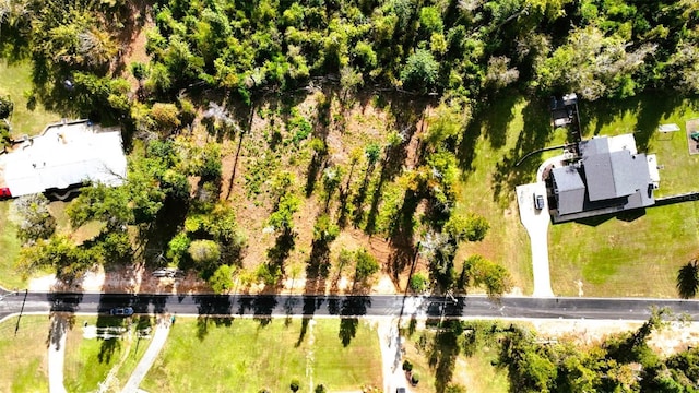 Angela Dr, Marianna, FL 32446 - photo 34