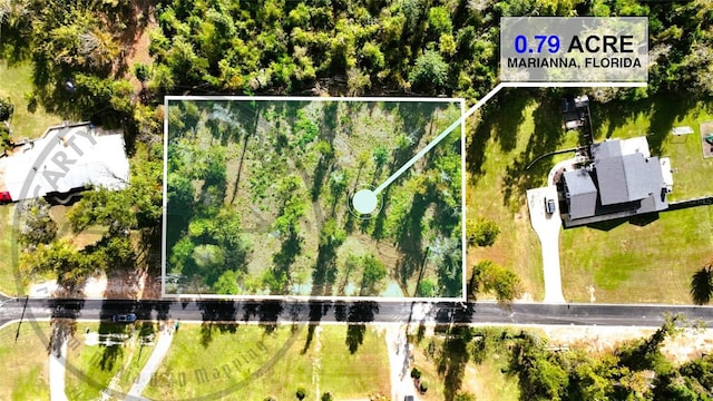 Angela Dr, Marianna, FL 32446 - photo 35
