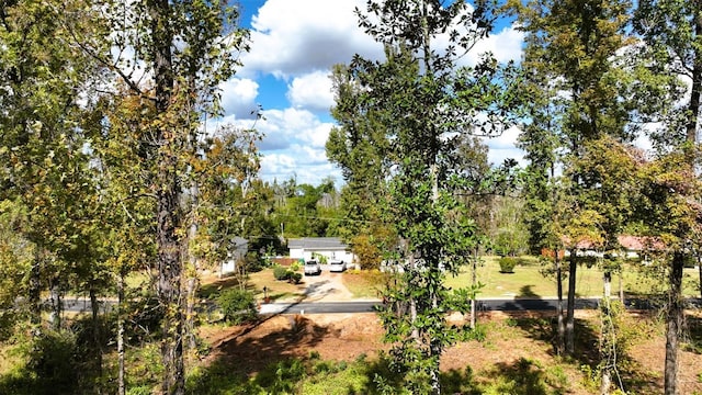 Angela Dr, Marianna, FL 32446 - photo 36