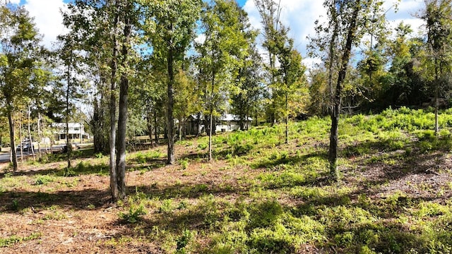 Angela Dr, Marianna, FL 32446 - photo 40