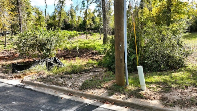 Angela Dr, Marianna, FL 32446 - photo 42
