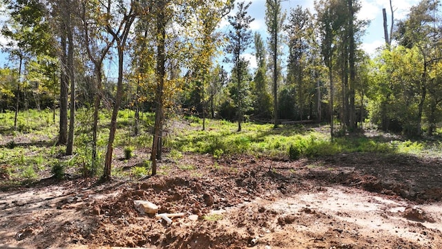 Angela Dr, Marianna, FL 32446 - photo 44