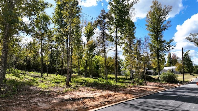 Angela Dr, Marianna, FL 32446 - photo 45