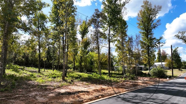 Angela Dr, Marianna, FL 32446 - photo 46