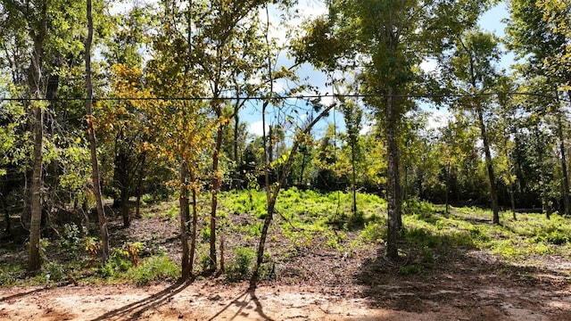 Angela Dr, Marianna, FL 32446 - photo 47