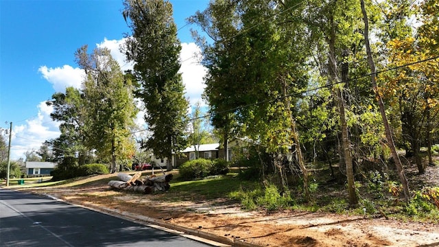 Angela Dr, Marianna, FL 32446 - photo 48