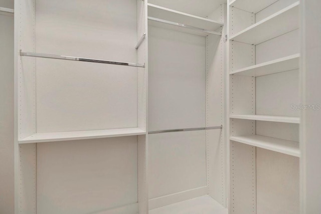 view of walk in closet