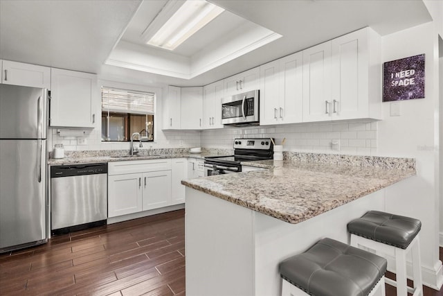 kitchen with stainless steel appliances, a tray ceiling, a sink, and a peninsula